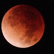 <font class="tempImageTitleThumbText">Lunar Eclipse</font><br>Richard Lighthill<br>Jan 31 2:54pm<br>La Pine, Oregon