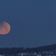<font class="tempImageTitleThumbText">Lunar Eclipse</font><br>Richard Nugent<br>Jan 31 2:07pm<br>Quincy, Massachusetts, USA