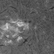 <font class="tempImageTitleThumbText">Sun In H-alpha</font><br>Richard Schrantz<br>Oct 20 4:39am<br>Nicholasville, Kentucky, USA