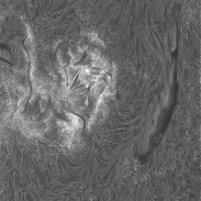<font class="tempImageTitleThumbText">Sun In H-alpha</font><br>Richard Schrantz<br>Jul 2 3:21am<br>Nicholasville, Kentucky, USA
