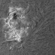 <font class="tempImageTitleThumbText">Sun In H-alpha (2 Big Sunspot Complexes)</font><br>Richard Schrantz<br>Jul 3 1:50am<br>Nicholasville, Kentucky, USA