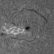 <font class="tempImageTitleThumbText">Sun In H-alpha</font><br>Richard Schrantz<br>Jul 24 2:53am<br>Nicholasville, Kentucky, USA