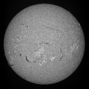 <font class="tempImageTitleThumbText">Sun In H-alpha (Spectroheliogram)</font><br>Richard Schrantz<br>Aug 11 1:02am<br>Nicholasville, Kentucky, USA