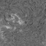 <font class="tempImageTitleThumbText">Sun In H-alpha</font><br>Richard Schrantz<br>Aug 25 1:25am<br>Nicholasville, Kentucky, USA