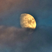<font class="tempImageTitleThumbText">Waxing Gibbous Moon</font><br>Richard Sears <br>Sep 21 2:14pm<br>Ballico, California, USA