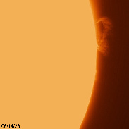 <font class="tempImageTitleThumbText">Large Prominence </font><br>Richard Sears<br>Jun 15 3:16am<br>Ballico, California, USA