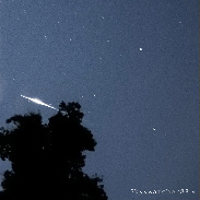 <font class="tempImageTitleThumbText"> Alpha Capricornid Fireball </font><br>Richard Sears<br>Aug 2 8:52pm<br>Ballico, California, USA