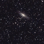 <font class="tempImageTitleThumbText">Deer Lick Supernova</font><br>Richard Sears<br>Sep 7 2:44pm<br>Ballico, California, USA