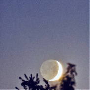 <font class="tempImageTitleThumbText">Crescent Moon/Venus</font><br>Richard Sears<br>Aug 16 4:10am<br>Ballico, California, USA