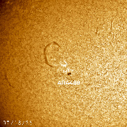 <font class="tempImageTitleThumbText">Sunspot And Filament </font><br>Richard Sears<br>Jul 19 9:04pm<br>Ballico, California, USA