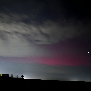 <font class="tempImageTitleThumbText">Auroras </font><br>Richard Sears<br>Nov 12 3:32am<br>Ballico, California, USA