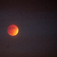 <font class="tempImageTitleThumbText">Super Lunar Eclipse</font><br>Richard Sears<br>Sep 28 4:32am<br>Merced, California, USA