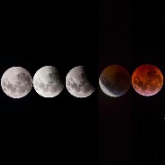 <font class="tempImageTitleThumbText">Lunar Eclipse </font><br>Rick Meinig<br>Jan 21 1:44pm<br>Colorado Springs , Cheyenne Can