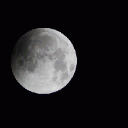 <font class="tempImageTitleThumbText">Total Lunar Eclipse</font><br>Rijk-Jan Koppejan<br>Jan 21 11:05pm<br>Vlissingen Boulevard near Midde