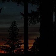 <font class="tempImageTitleThumbText">Redwood Forest Meets Sunset Planets</font><br>Rob Ferber<br>Jan 12 8:16am<br>Even from the depths of a Redwo