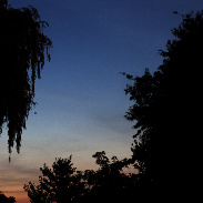 <font class="tempImageTitleThumbText">Comet Neowise</font><br>Rob Lenz<br>Jul 7 2:33pm<br>St Catharines Canada 