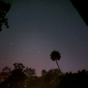 <font class="tempImageTitleThumbText">Auroras</font><br>Robert Brooks<br>Nov 12 4:11am<br>Homosassa Fl.