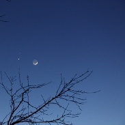 <font class="tempImageTitleThumbText">Moon Venus Mars Conjunction</font><br>Robert Saint-Jean<br>Feb 20 11:56pm<br>Saint-Bruno, Quebec, Canada