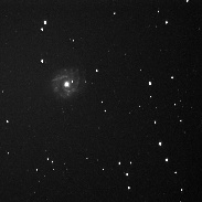 <font class="tempImageTitleThumbText">Supernovae 2016bau In NGC 3631</font><br>Robert Spellman<br>Apr 5 6:21pm<br>Apple Valley Ca