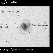 <font class="tempImageTitleThumbText">Supernova In M61</font><br>Robert Spellman<br>May 21 4:35pm<br>Apple Valley Ca.
