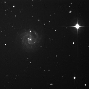<font class="tempImageTitleThumbText">Supernovae 2016bkv In NGC 3184</font><br>Robert Spellman<br>Apr 3 6:03pm<br>Apple Valley Ca