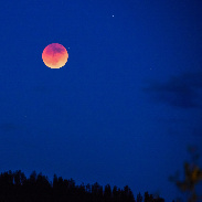 <font class="tempImageTitleThumbText">Lunar Eclipse</font><br>Rocky Raybell<br>May 16 4:41pm<br>Keller, Washington