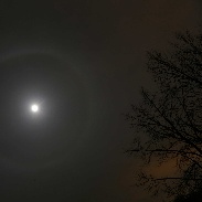 <font class="tempImageTitleThumbText">Moon Halo And Mars</font><br>Rodrigo Roesch<br>Apr 12 3:43pm<br>De Pere, WI, USA