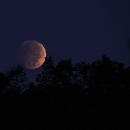 <font class="tempImageTitleThumbText">Lunar Eclipse </font><br>Roger King<br>Oct 8 12:08pm<br>Manchester, Maryland