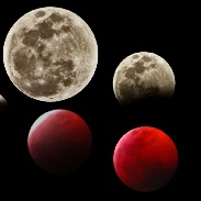 <font class="tempImageTitleThumbText">Lunar Eclipse</font><br>Ron Cottrell<br>Jan 22 5:05pm<br>Oro Valley, Arizona