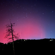 <font class="tempImageTitleThumbText">Aurora</font><br>Ron<br>Nov 12 2:50am<br>Evergreen, Colorado, USA