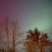 <font class="tempImageTitleThumbText">Auroras</font><br>Ron Murphy<br>Nov 12 4:50am<br>Apalachin, New York