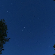 <font class="tempImageTitleThumbText">Bluebird12</font><br>Ron Myers<br>Sep 14 5:01am<br>Sacramento,CA. USA