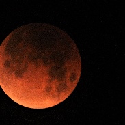 <font class="tempImageTitleThumbText">Lunar Eclipse</font><br>Ron Myers<br>Feb 1 12:53am<br>Sacramento.CA. USA