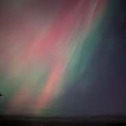 <font class="tempImageTitleThumbText">Auroras</font><br>Ron Schlaack <br>Oct 11 3:09am<br>6 miles north of Owosso, MI