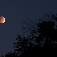 <font class="tempImageTitleThumbText">Lunar Eclipse</font><br>Ronald Mochinski<br>Oct 8 5:58pm<br>Fairfax, VA