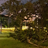 <font class="tempImageTitleThumbText">Moon And Planets Mercury, Jupiter, Venus</font><br>Roosevelt Silva<br>Jun 16 10:39pm<br>Brazil, Distrito Federal