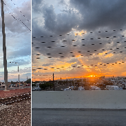 <font class="tempImageTitleThumbText">Crepuscular And Anticrepuscular Rays</font><br>Roy<br>Sep 16 5:48am<br>Phoenix Arizona