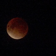 <font class="tempImageTitleThumbText">Lunar Eclipse</font><br>Rui Coelho<br>Sep 29 1:04am<br>Belmont, MA