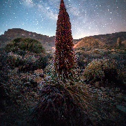 <font class="tempImageTitleThumbText">Tajinaste Rojo Under The Milky Way</font><br>Ruslan Merzlyakov<br>Jul 1 4:19pm<br>Teide National Park, Tenerife
