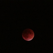 <font class="tempImageTitleThumbText">Lunar Eclipse</font><br>Rylee Wrenner<br>Sep 30 3:36am<br>Vermont, USA