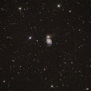 <font class="tempImageTitleThumbText">Comet C/2016 U1 Neowise</font><br>rolando ligustri<br>Dec 2 9:45am<br>from New mexico USA, ITelescope
