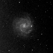 <font class="tempImageTitleThumbText">Super Nova 2016bkv In NGC3184</font><br>Salvador Torres Morales<br>Apr 3 4:24pm<br>Bayamon, Puerto Rico
