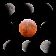 <font class="tempImageTitleThumbText">Lunar Eclipse</font><br>Samer Hariri<br>Jan 22 1:22am<br>Novi, Michigan, USA