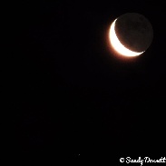 <font class="tempImageTitleThumbText">The Moon And Venus</font><br>Sandy Dossett<br>Jan 31 3:01pm<br>Crawfordsville IN