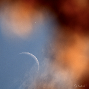 <font class="tempImageTitleThumbText">Conjunction Of The Moon And Venus</font><br>Scott Griswold<br>Jun 18 4:09am<br>New London, NH
