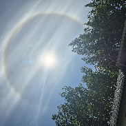 <font class="tempImageTitleThumbText">Sun Halo⅞</font><br>Scott Nelson<br>Jun 12 4:32am<br>Pigeon Lake, Alberta, Canada