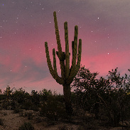 <font class="tempImageTitleThumbText">Auroras</font><br>Scott Tucker<br>Nov 12 5:22am<br>Tucson, AZ