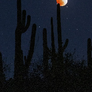 <font class="tempImageTitleThumbText">Lunar Eclipse </font><br>Scott Tucker<br>May 16 7:47am<br>Tucson, AZ