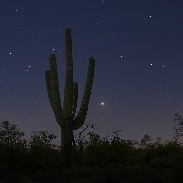 <font class="tempImageTitleThumbText">Venus And Pleiades</font><br>Scott Tucker<br>Apr 4 5:27am<br>Tucson, AZ