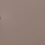 <font class="tempImageTitleThumbText">Sun Thru Canadian Wildfire Smoke In Centr</font><br>Scott Warner<br>Jul 17 11:43am<br>Central Ohio